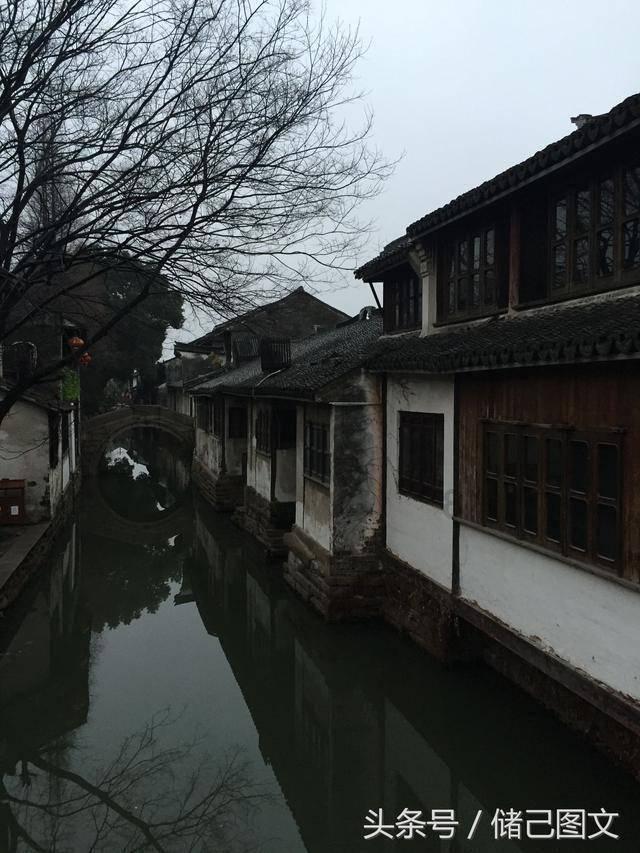 逃出茂密的丛林